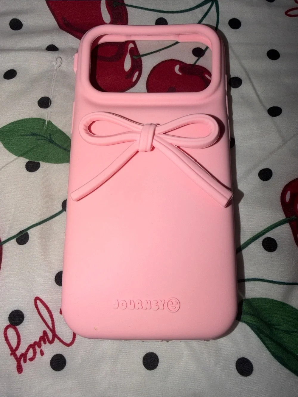 iPhone 17 Pro Max Case